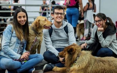 Expopet, la feria Internacional de mascotas y animales de compañía