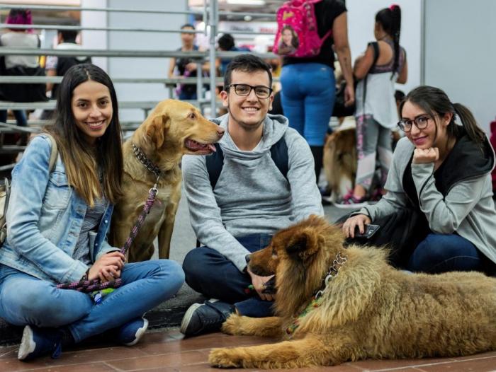 Expopet, la feria Internacional de mascotas y animales de compañía